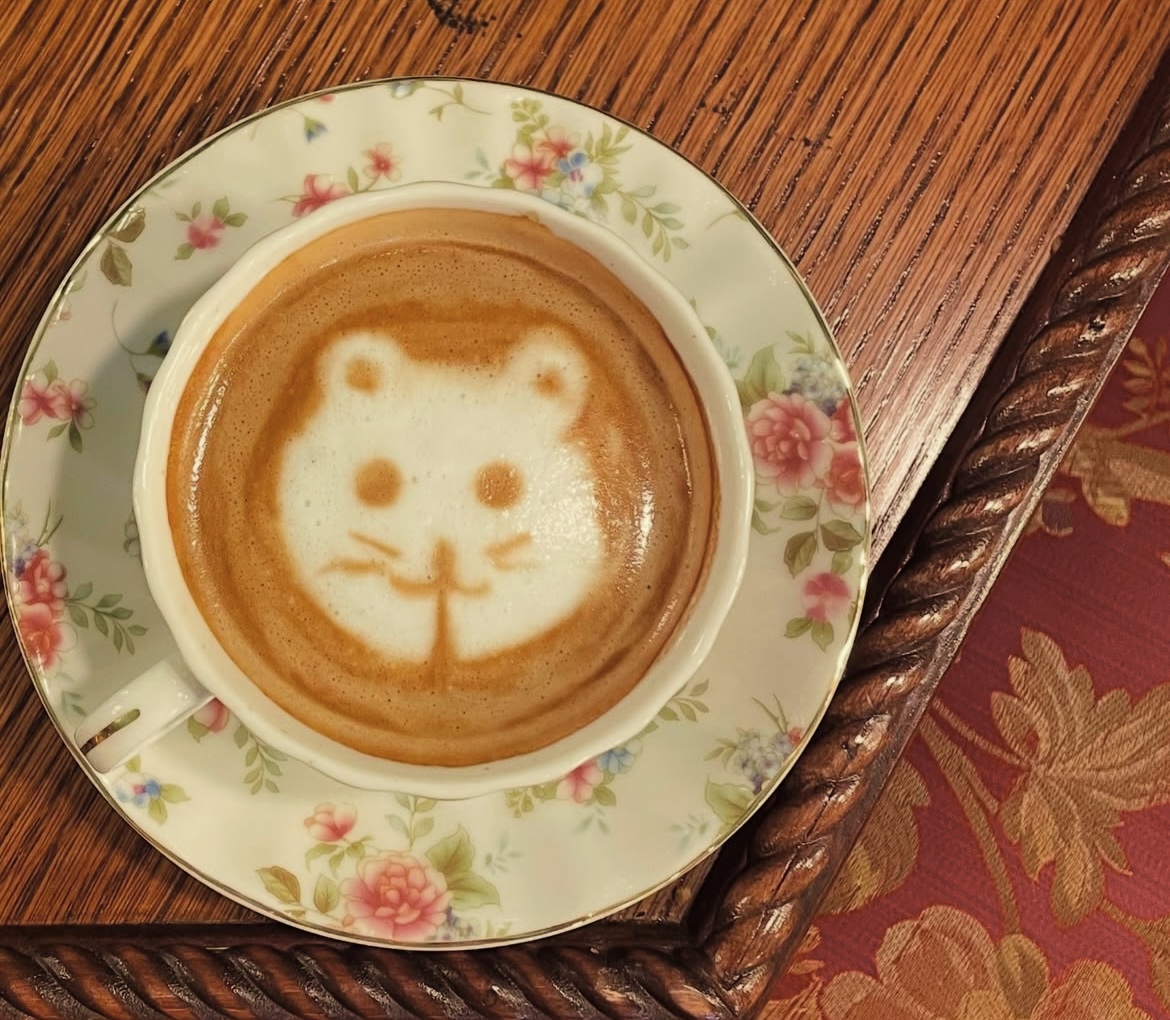 La Belle Tasse photo three
